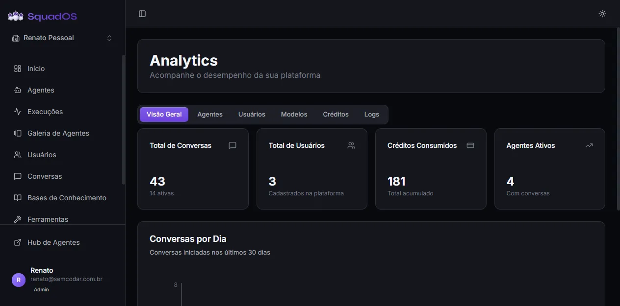 Analytics Overview tab with the four metric cards and the daily conversations chart